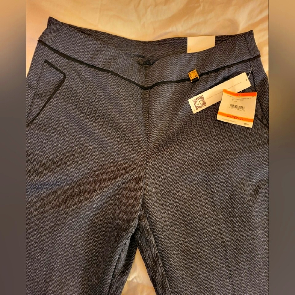 Anne Klein ~ Black/Maritime Blue Boot Leg Pants
